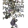 QZ17682 AUDREY LILAC
