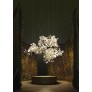 QZ2718 GINGKO FLOWERS
