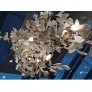QZ2718 GINGKO FLOWERS