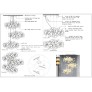 QZ2718 GINGKO FLOWERS