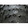 WM2118 DISCS