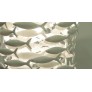 WM2710 SHOAL