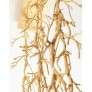 WM504 SPIKED BRANCH