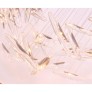 MM0201 MOONLIGHT MURMURATION