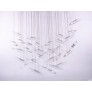 MM0201 MOONLIGHT MURMURATION