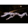 IB1350 ICE BRANCH