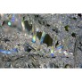 IB1350 ICE BRANCH
