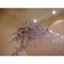 IB1350 ICE BRANCH