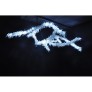 IB1350 ICE BRANCH