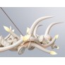 AM1801 ANTLER HALO RESIN