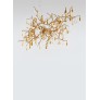 AM1819 BIJOUT CHANDELIER