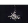 DV5623 BLOOM VIVANT