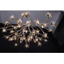 DV5623 BLOOM VIVANT