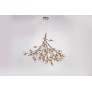DV5623 BLOOM VIVANT
