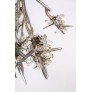 DV5623 BLOOM VIVANT