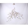DV5623 BLOOM VIVANT