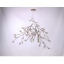 DV5623 BLOOM VIVANT