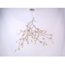DV5623 BLOOM VIVANT