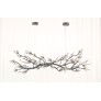OR07610 BRANDOLINI III BRANCH
