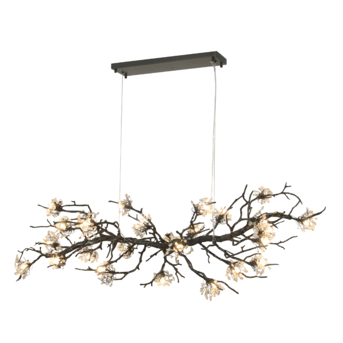 OR07610 BRANDOLINI III BRANCH