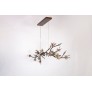OR076 BRANDOLINI