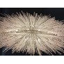CH4811 IMPERIAL REC