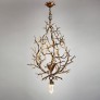 IQ8171 LUSTRE BRANCH