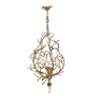 IQ8171 LUSTRE BRANCH