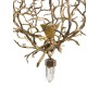 IQ8171 LUSTRE BRANCH