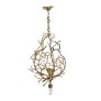 IQ8172 STRAETEN LUSTRE