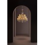 WM2174 BELLE DE NUIT