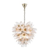 AM962850  DAISY