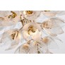 AM962850  DAISY