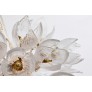 AM962850  DAISY