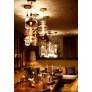 IQ21022 BALLET CEILING LAMP