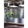 IQ21056 PLAZA SQUARE CEILING LAMP