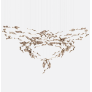 IQ2814 CONTOUR