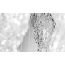 IQ2815 FROSTY LEAVES