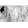 IQ2815 FROSTY LEAVES