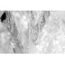 IQ2815 FROSTY LEAVES