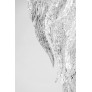 IQ2815 FROSTY LEAVES