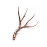 IQ2820 ANTLERS