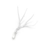 IQ2820 ANTLERS