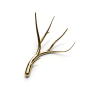 IQ2820 ANTLERS