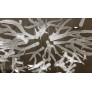 IQ2820 ANTLERS