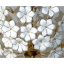 IQ2841 VENINI ART GLASS