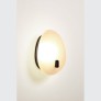 IQ3128 COQUILE SCONCE WALL LIGHT