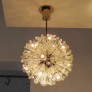 IQ3236 NIKOLL CHANDELIER
