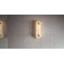 IQ3244 BRACE WALL LIGHT