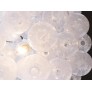 IQ3253 TULIPAN CHANDELIER